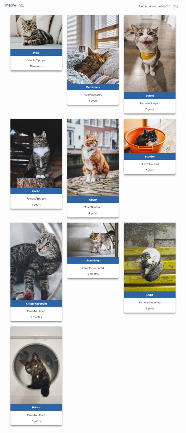 Cat adoption website/PWA concept